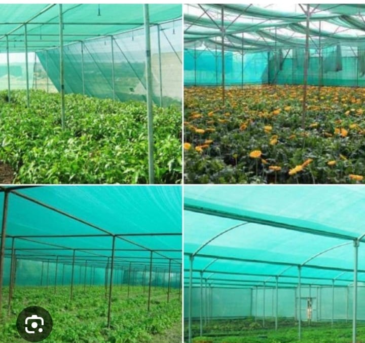 Agriculture Shade Nets